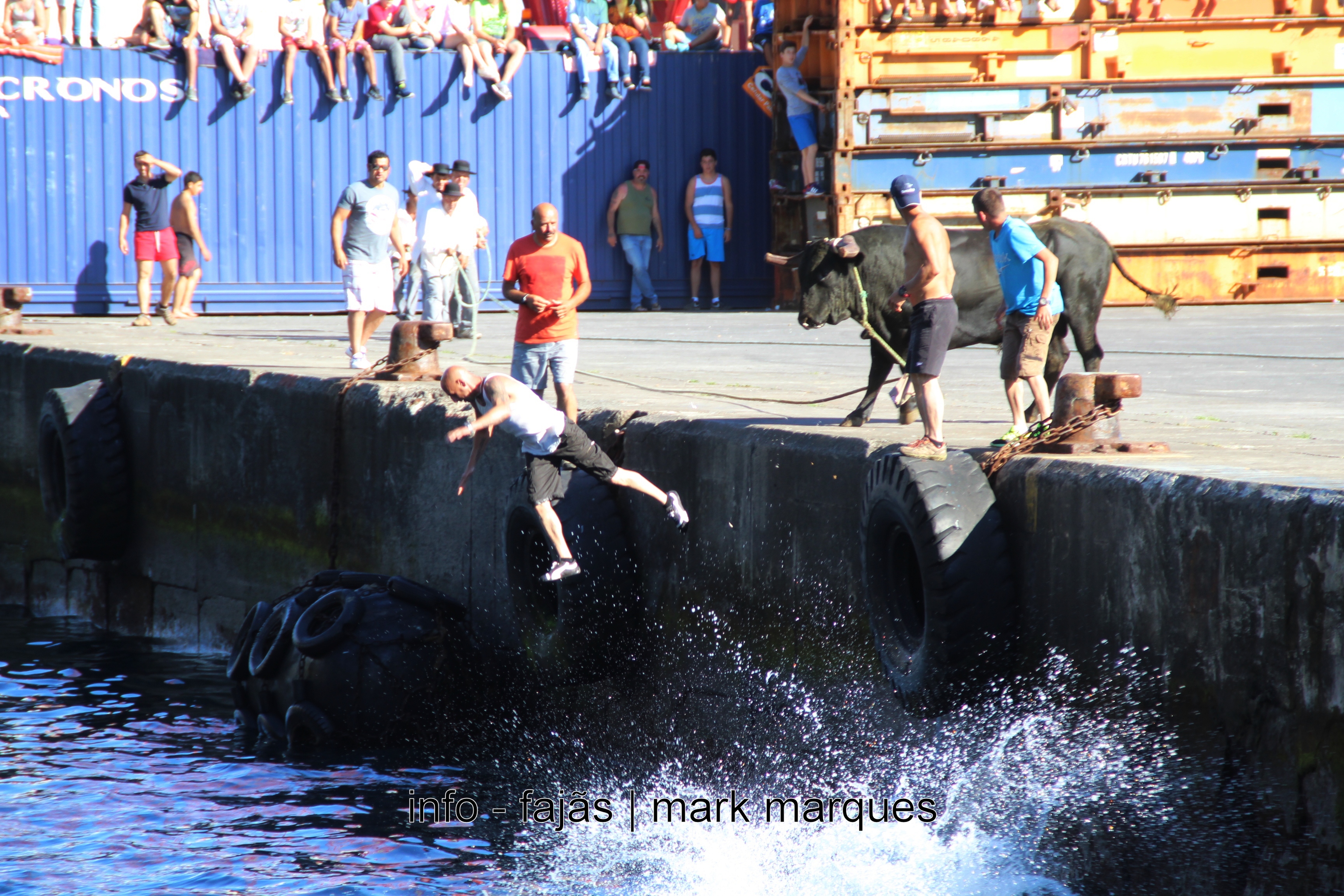 4º Dia da Semana Cultural das Velas (Tourada à Corda) 3.07.2016. (reportagem fotográfica)