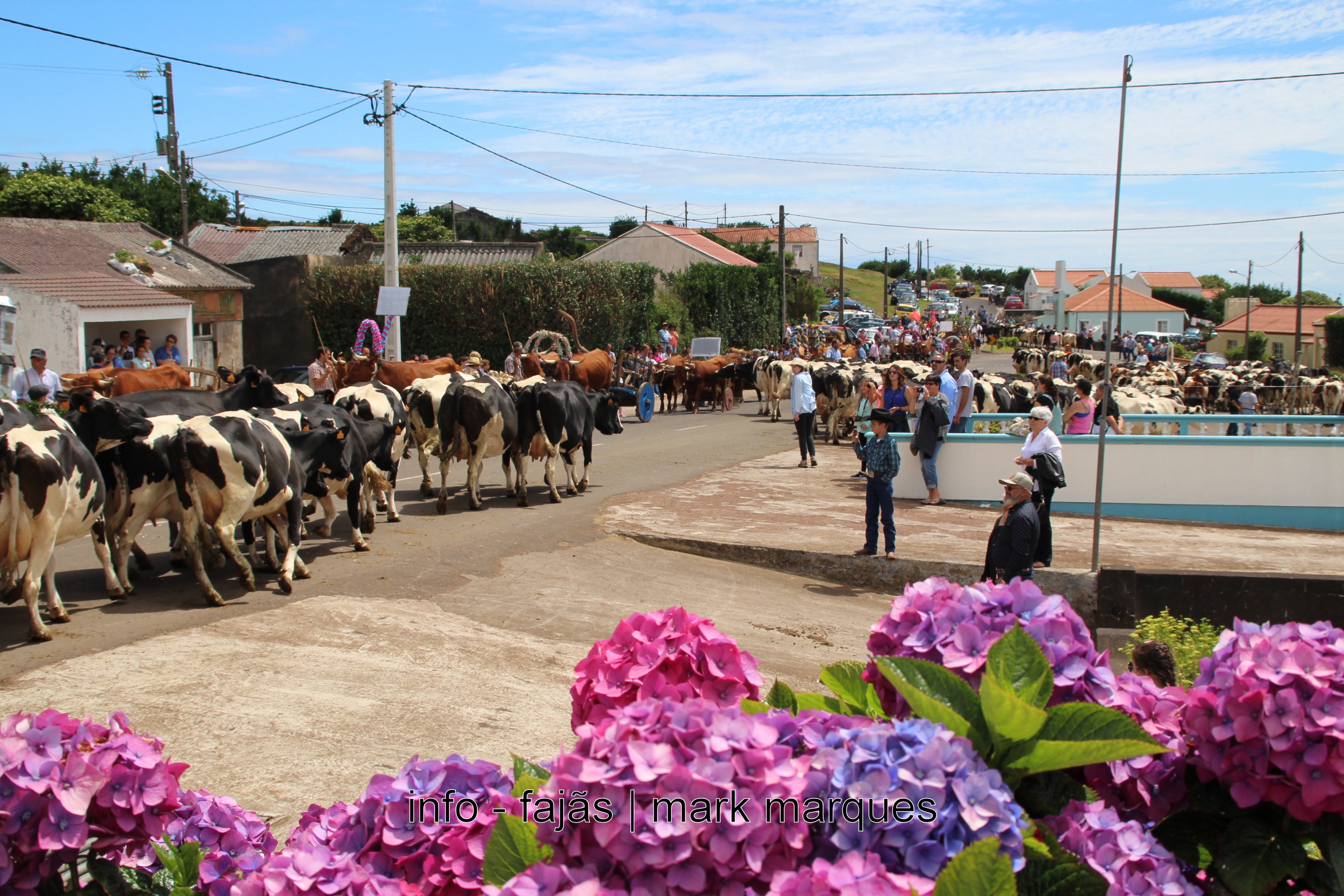 BODO DE LEITE EM SÃO TOMÉ (Santo Antão) (Topo) 3.07.2016. (reportagem fotográfica)