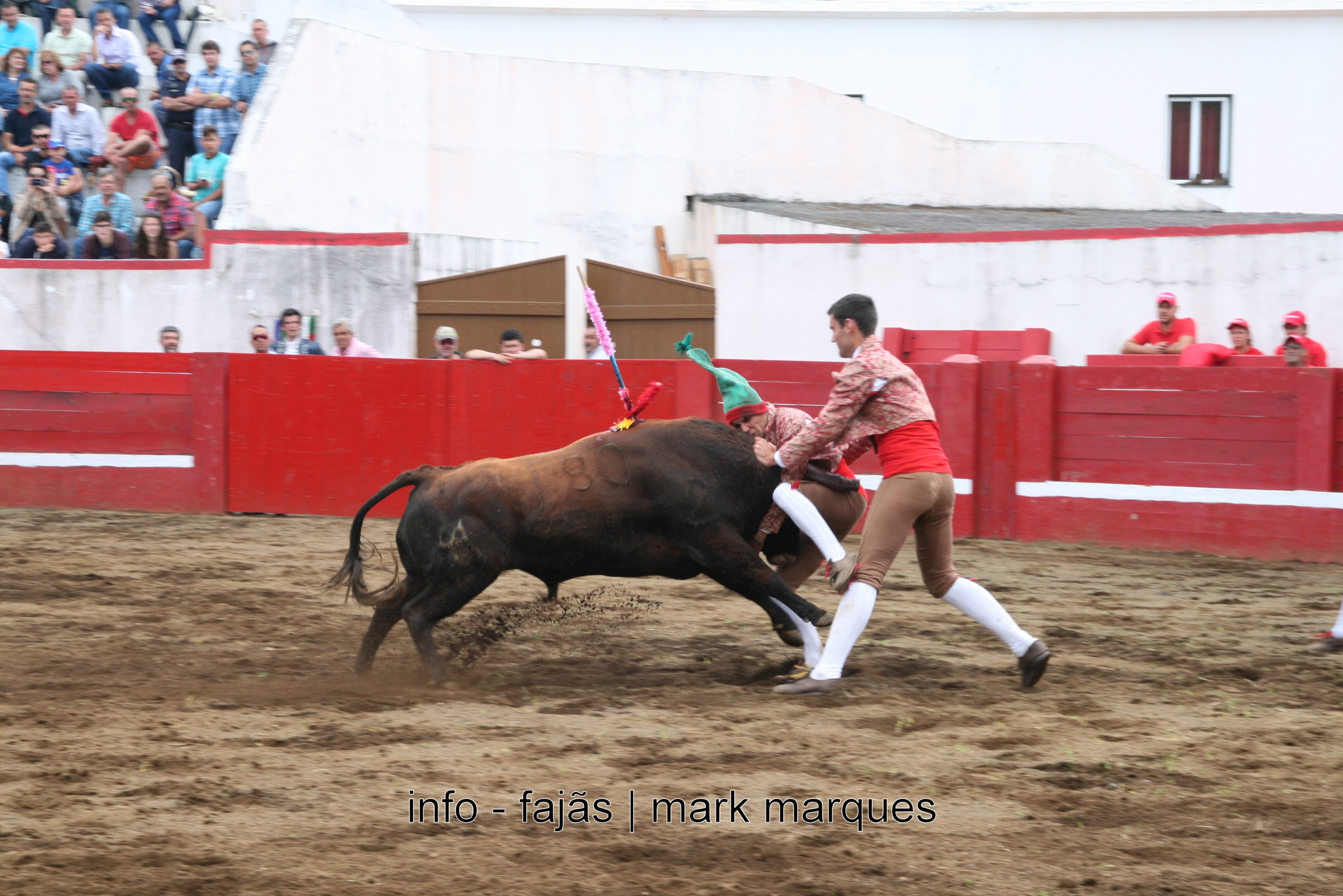 3º Dia da Semana Cultural das Velas (Tauromaquia) 2.07.2016. (reportagem fotográfica)