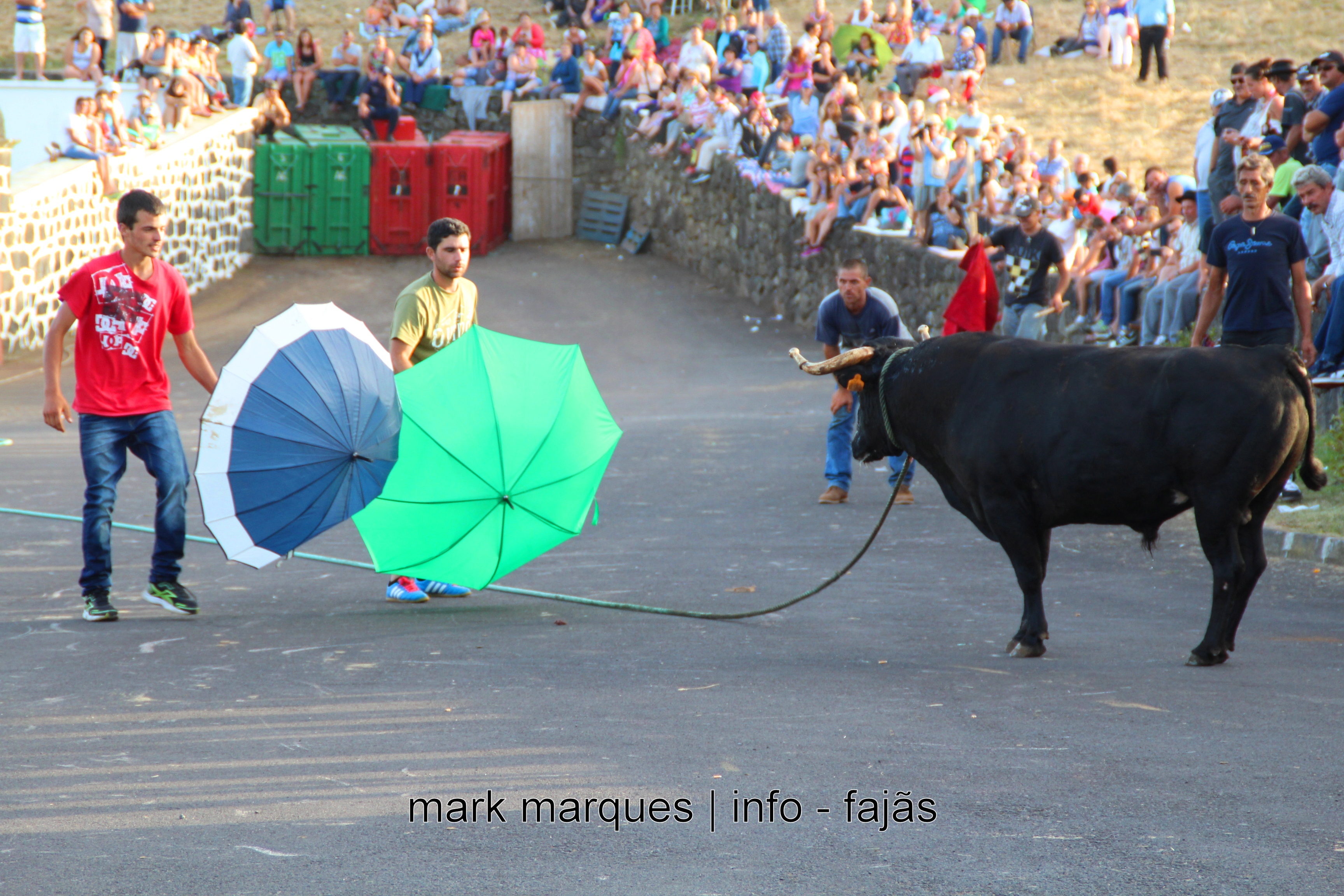 TOURADA À CORDA – ROSAIS – ILHA DE SÃO JORGE (AÇORES). (reportagem fotográfica)