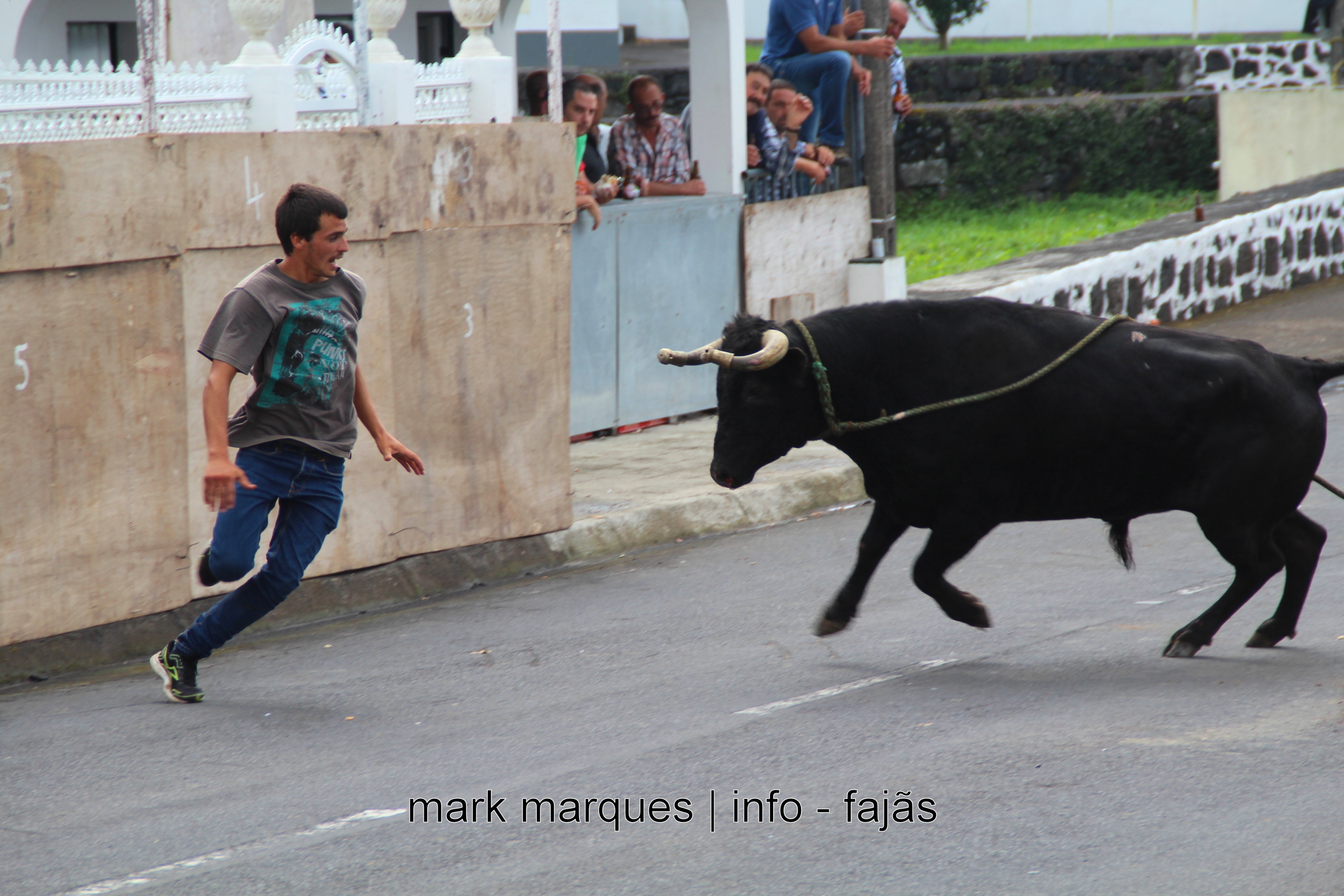 TOURADA À CORDA – NORTE PEQUENO – ILHA DE SÃO JORGE. (reportagem fotográfica)