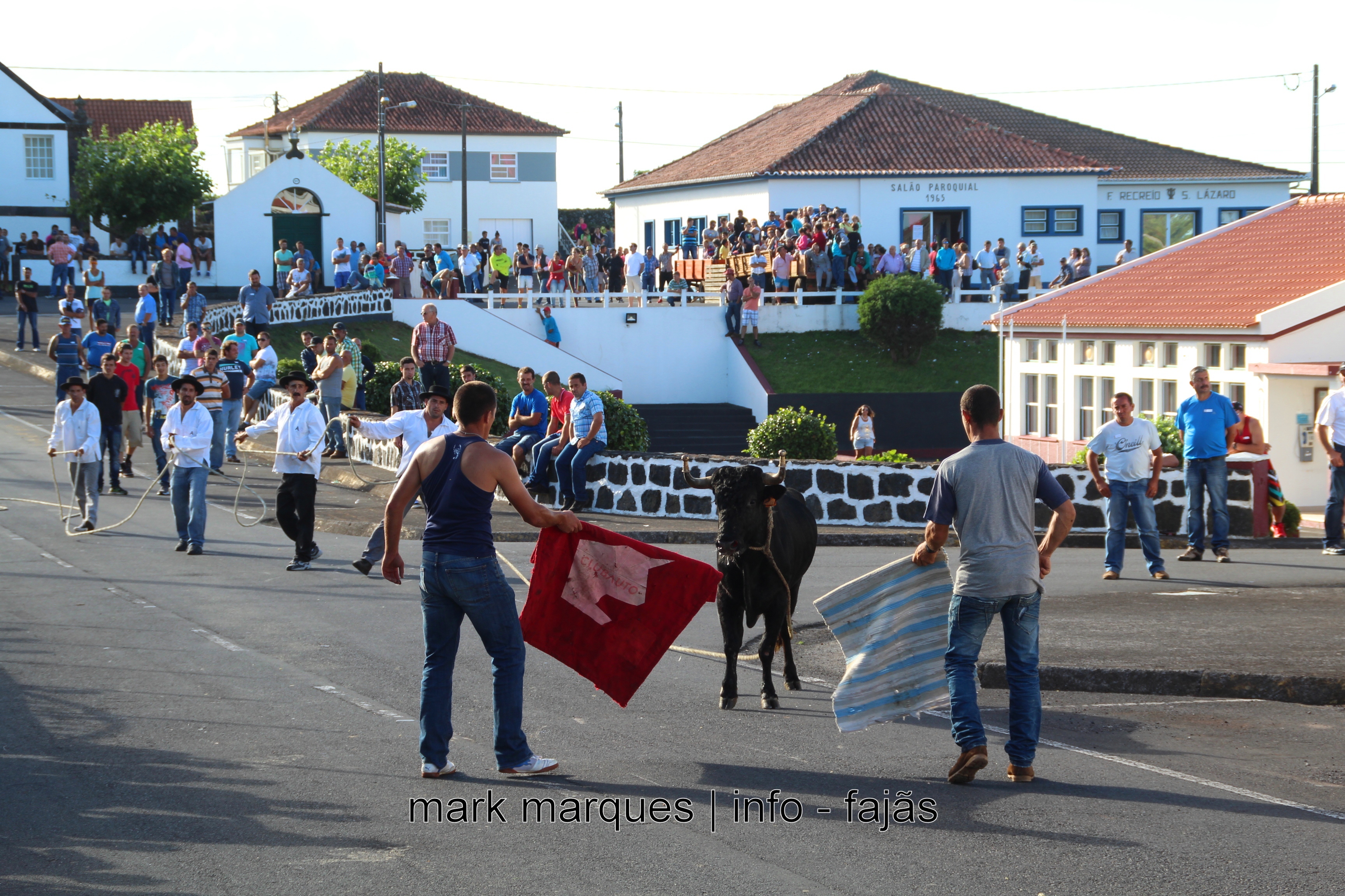 TOURADA À CORDA – NORTE PEQUENO – ILHA DE SÃO JORGE. (reportagem fotográfica)