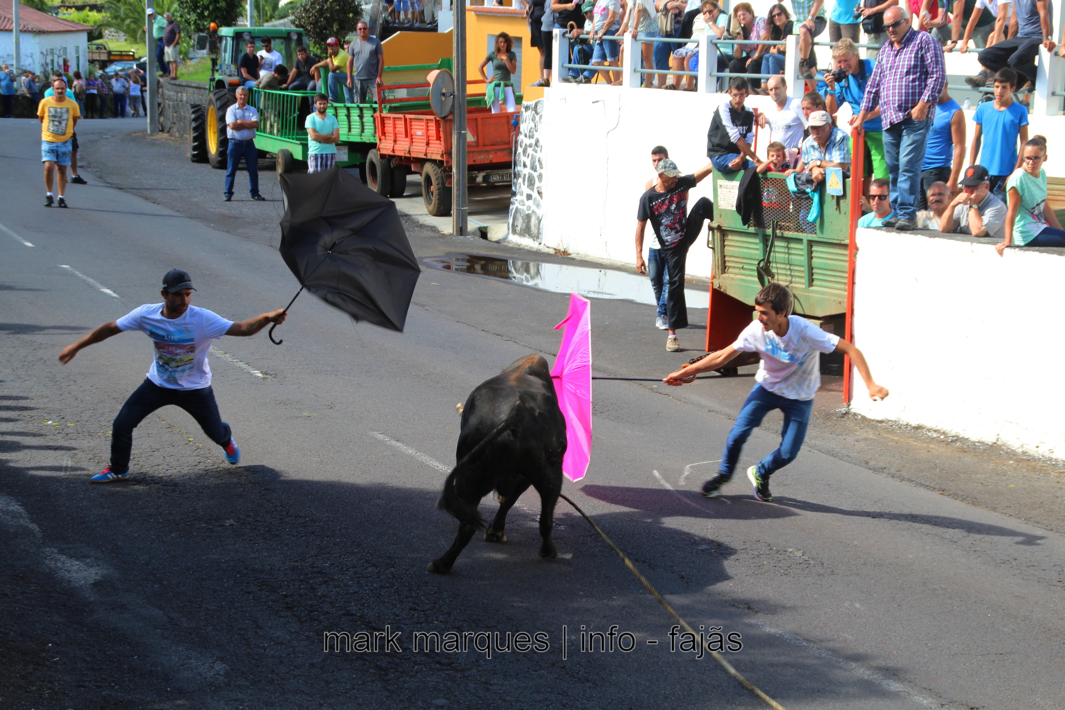 TOURADA À CORDA – BOA HORA / SANTO AMARO – ILHA DE SÃO JORGE. (reportagem fotográfica)
