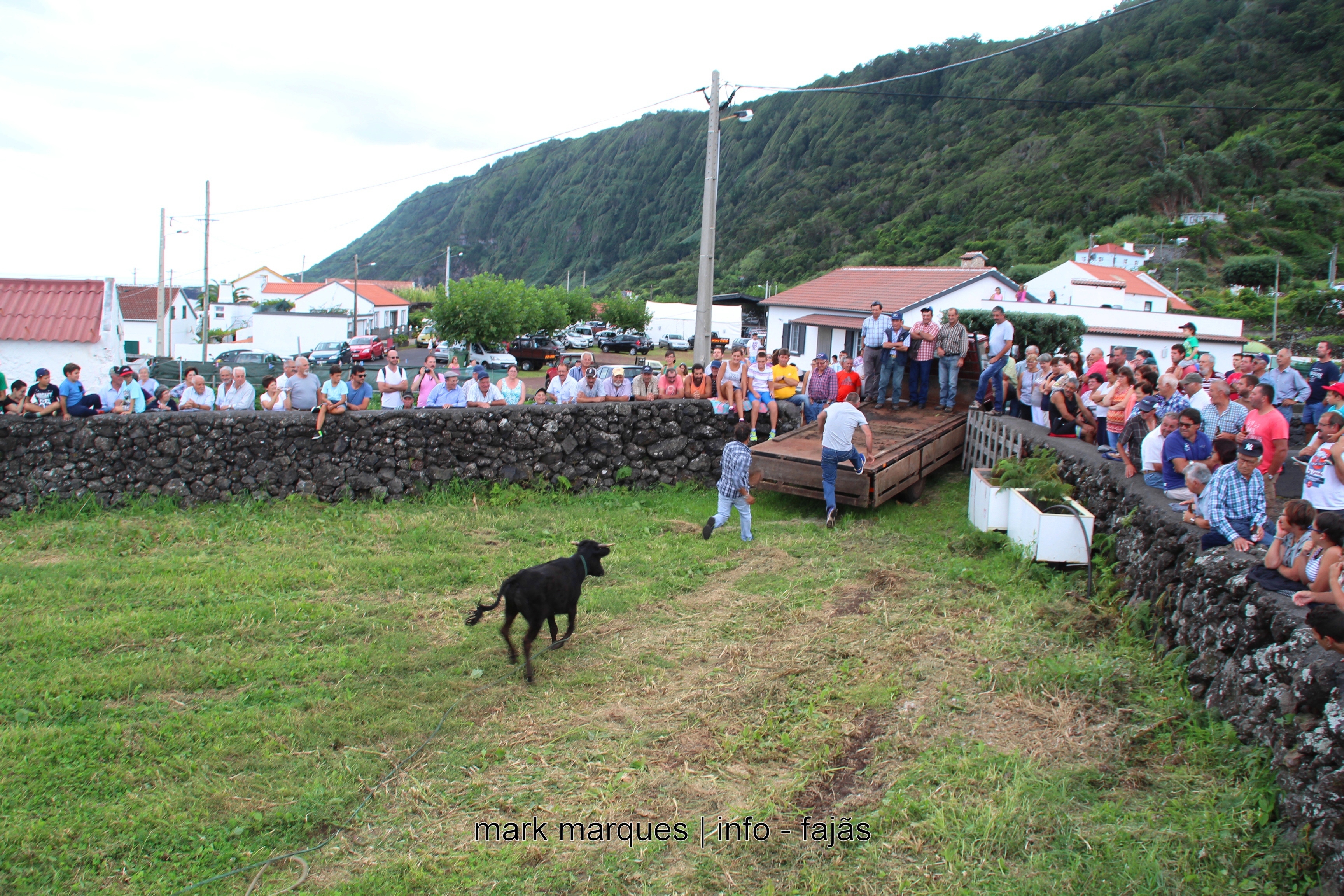 GARRAIADA NA FAJÃ DO OUVIDOR (NORTE GRANDE) – ILHA DE SÃO JORGE. (reportagem fotográfica)