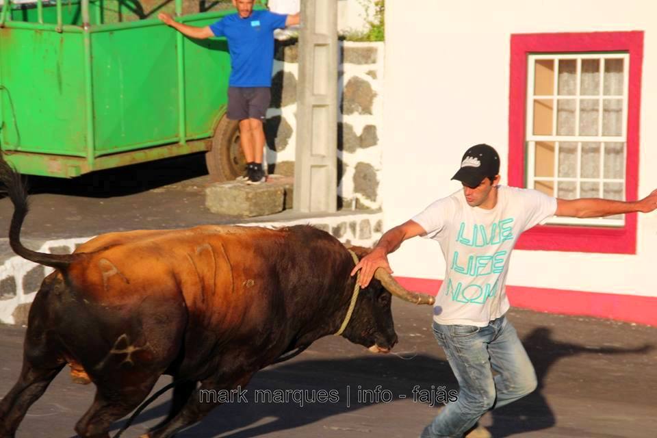 47 EVENTOS TAURINOS NA ILHA DE SÃO JORGE DURANTE O ANO 2016