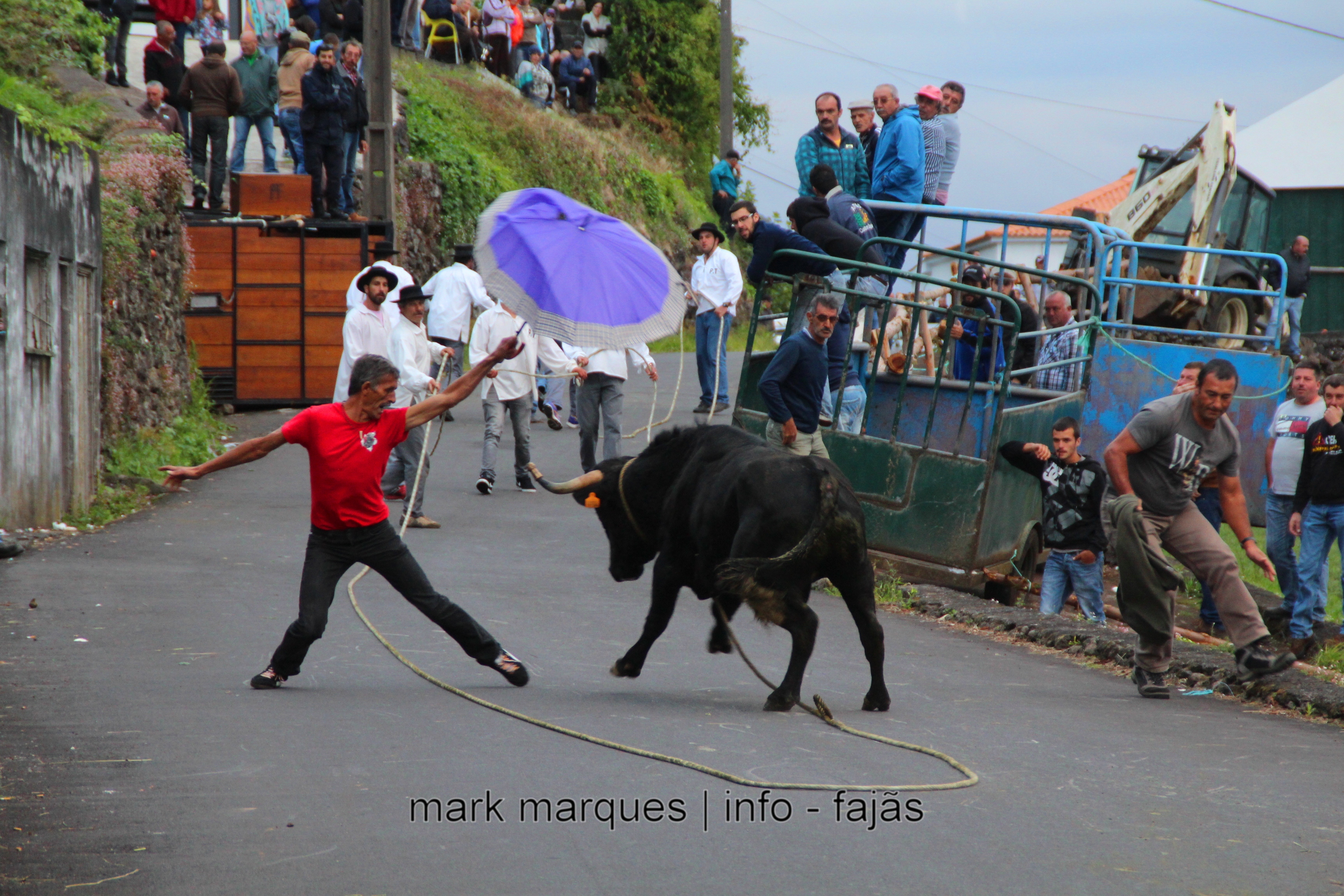 TOURADA À CORDA – PORTAL / RIBEIRA SECA – ILHA DE SÃO JORGE. (reportagem fotográfica)