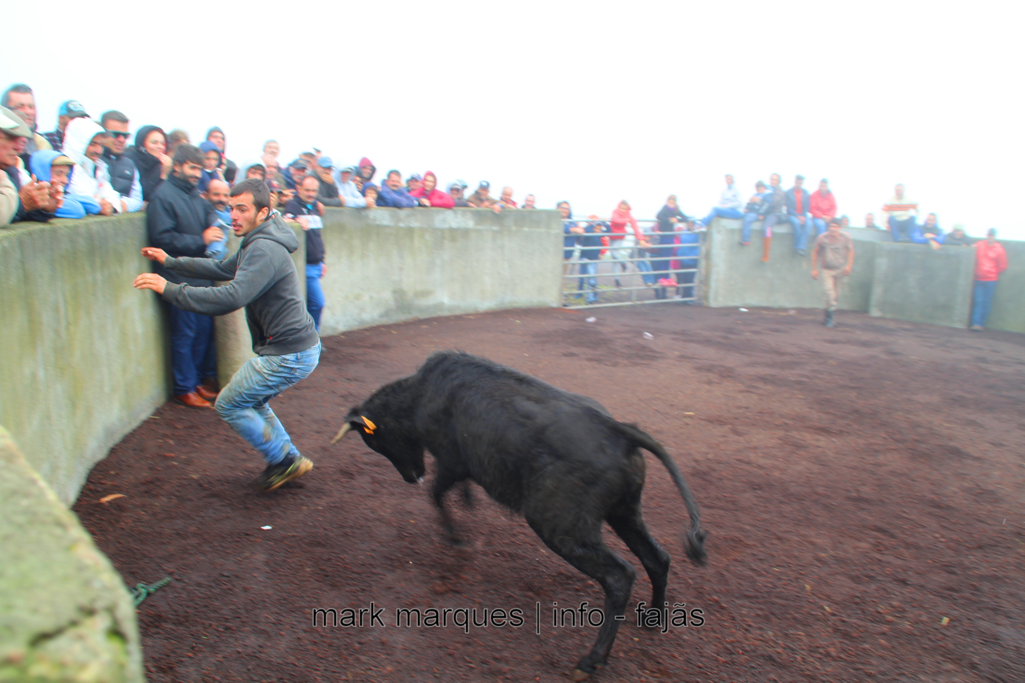 FERRA NA GANADARIA GA – GABRIEL AZEVEDO – ILHA DE SÃO JORGE. (reportagem fotográfica)