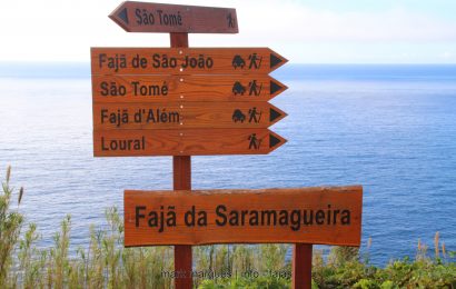 ALMOÇO DE SÃO MARTINHO NA FAJÃ DA SARAMAGUEIRA – ILHA DE SÃO JORGE. (reportagem fotográfica)