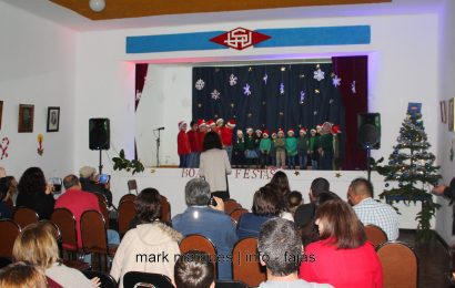EXPOSIÇÃO DE ÁRVORES DE NATAL NA ESCOLA DA URZELINA – ILHA DE SÃO JORGE (reportagem fotográfica)