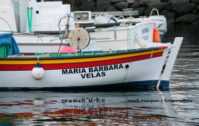 Quota de goraz tem nova chave de repartição por ilha