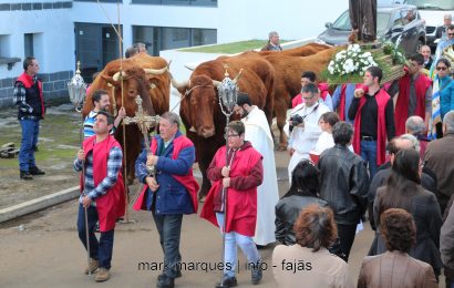 BÊNÇÃO DE ANIMAIS / ROSAIS / FESTA DE SANTO ANTÃO – Ilha de São Jorge (reportagem fotográfica)