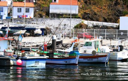 Inspeção Regional das Pescas realizou mais de 1.500 inspeções em 2016