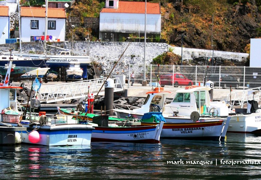 Inspeção Regional das Pescas realizou mais de 1.500 inspeções em 2016