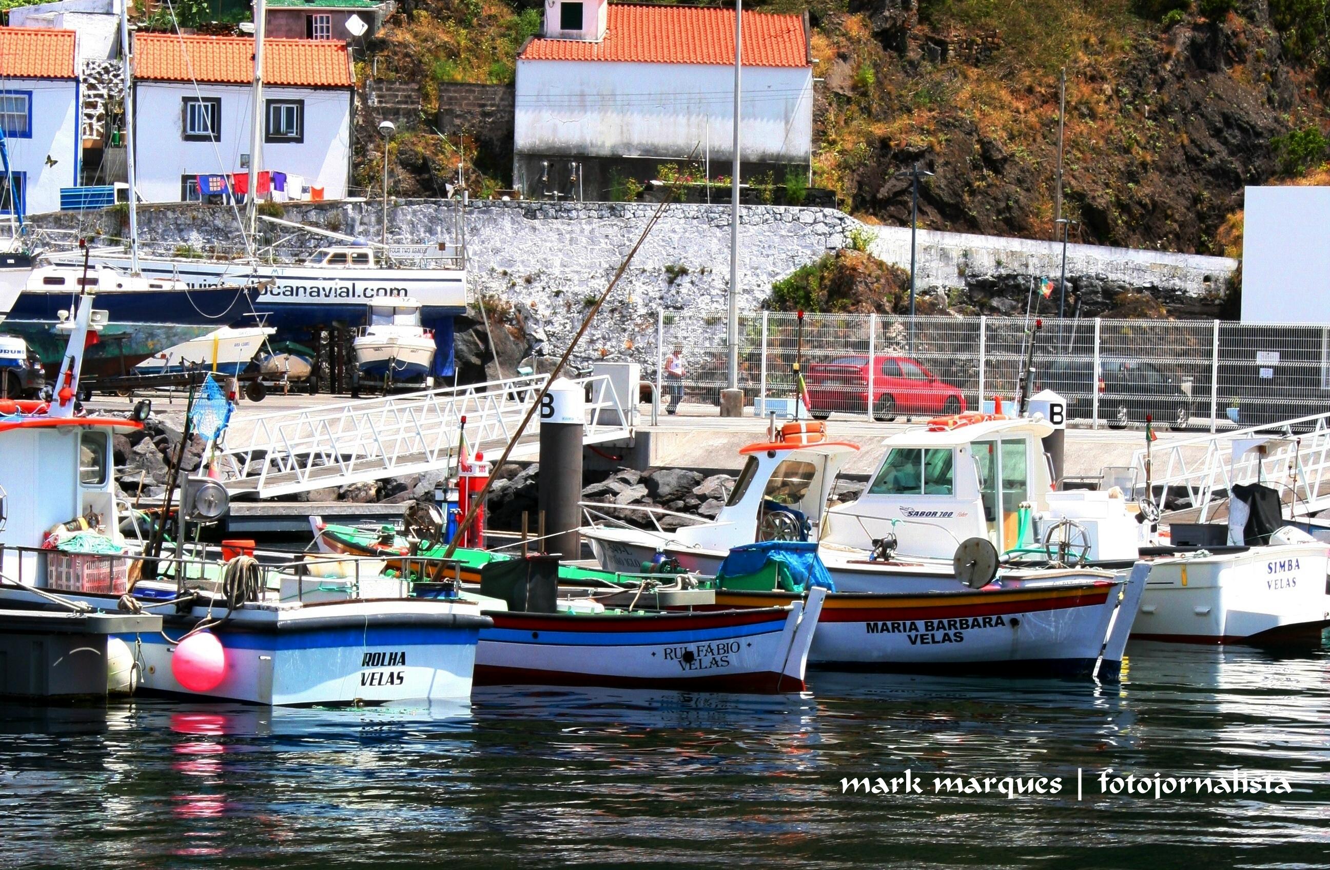 img_5387