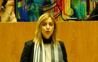 Planear e gerir de forma sustentável os recursos hídricos é o principal objetivo do Plano de Gestão da Rede Hidrográfica dos Açores, afirma Marta Guerreiro