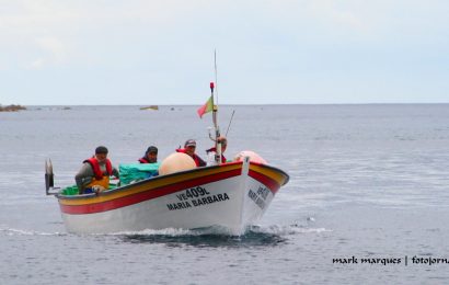 Licenças da pesca na Região com novos critérios de renovação