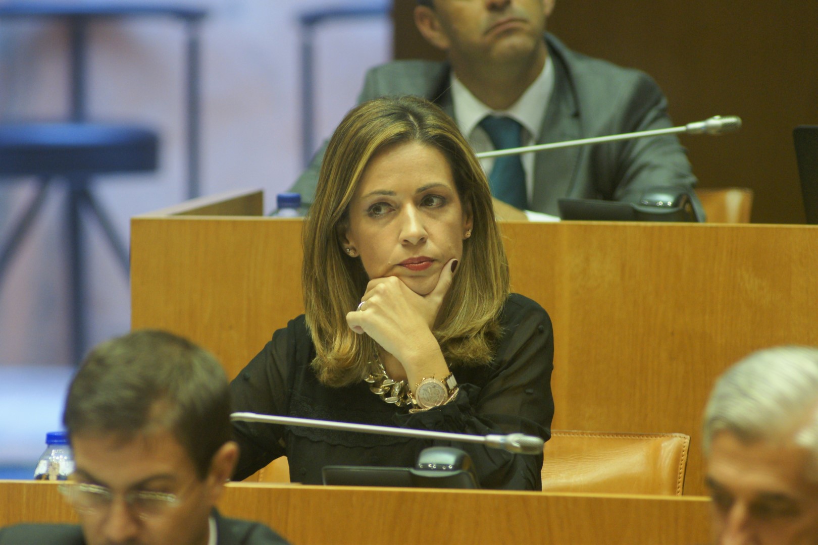 MARIA-JOAO-CARREIRO-PROG-GOVERNO-17NOV2016-FOTO