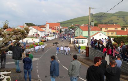 TOURADA À CORDA – NORTE PEQUENO – ILHA DE SÃO JORGE. (c/ reportagem fotográfica)