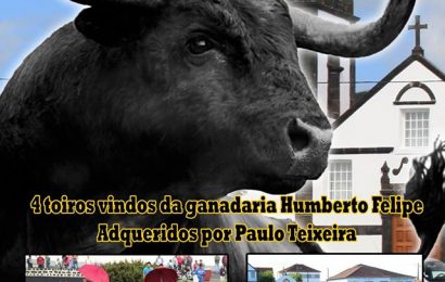 NORTE PEQUENO PROMOVE TOURADA À CORDA (Domingo dia 21) – Ilha de São Jorge.