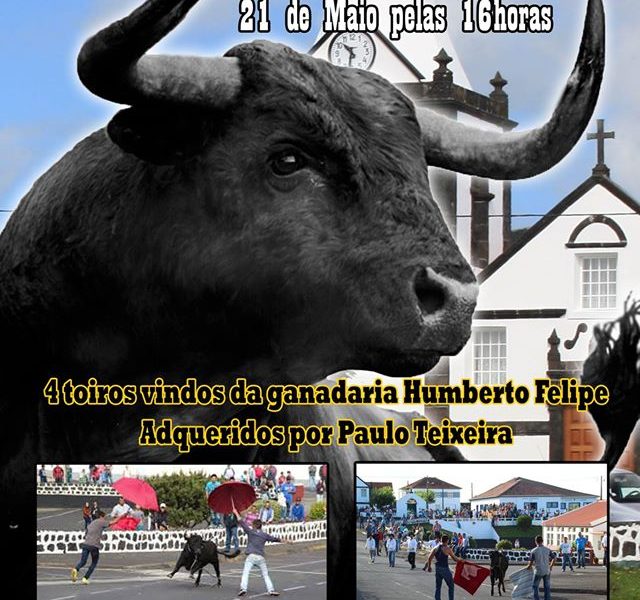 NORTE PEQUENO PROMOVE TOURADA À CORDA (Domingo dia 21) – Ilha de São Jorge.