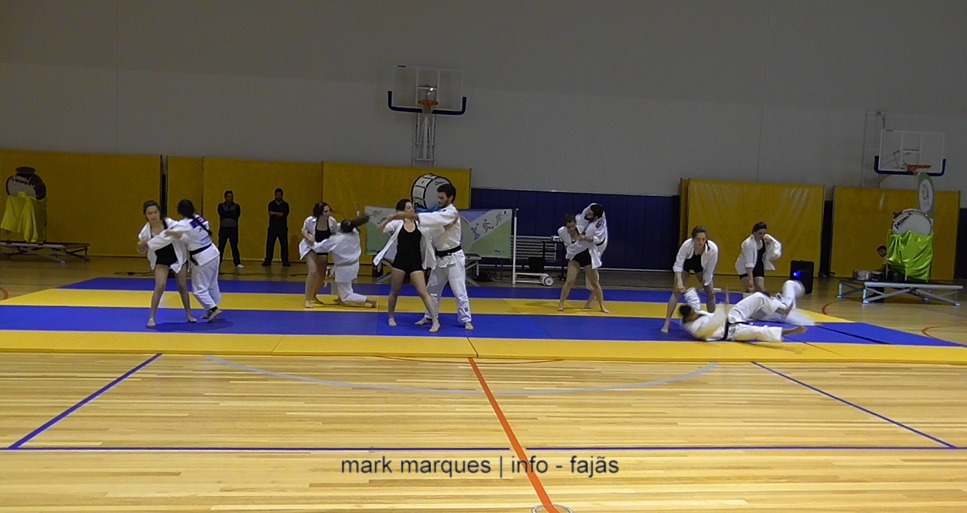 GIM Judo