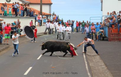 TOURADA À CORDA – SANTO ANTÓNIO – Ilha de São Jorge (c/ reportagem fotográfica)