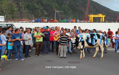CORTEJO DO GADO PARA O ESPÍRITO SANTO – Vila das Velas – Ilha de São Jorge (c/ vídeo)