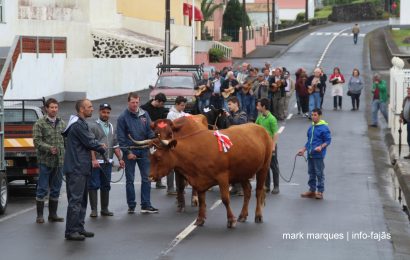 CORTEJO DO GADO – SANTÍSSIMA TRINDADE – NORTE PEQUENO – ILHA DE SÃO JORGE (c/ vídeo)