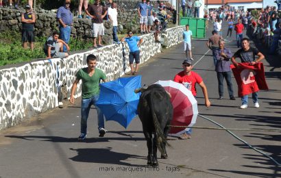 TOURADA À CORDA – FESTAS DE SANTA ANA – BEIRA – Ilha de São Jorge. (c/ reportagem fotográfica)