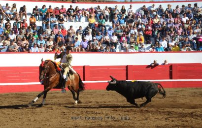 TOURADA DE PRAÇA – 30 ª SEMANA CULTURAL DAS VELAS – Ilha de São Jorge (c/ reportagem fotográfica)