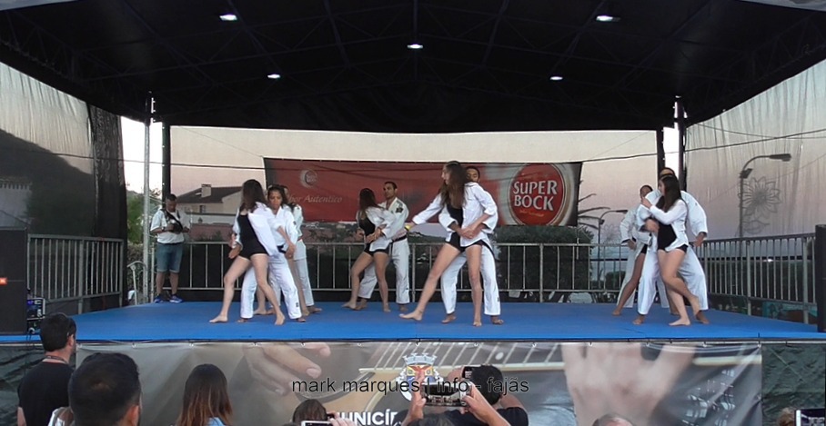 Judo Gemni