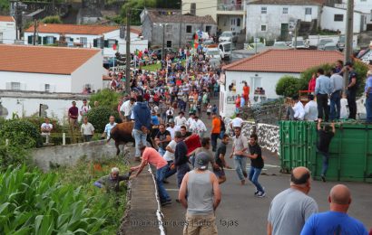 II TOURADA À CORDA – FESTAS DE SANTA ANA – BEIRA – Ilha de São Jorge (c/ reportagem fotográfica)