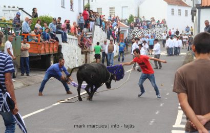 TOURADA À CORDA – NORTE GRANDE – Ilha de São Jorge (c/ reportagem fotográfica)
