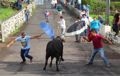 TOURADA À CORDA – RELVA / BEIRA – Ilha de São Jorge (c/ reportagem fotográfica)