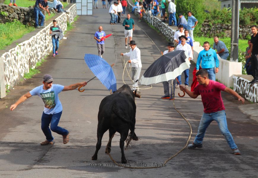 TOURADA À CORDA – RELVA / BEIRA – Ilha de São Jorge (c/ reportagem fotográfica)