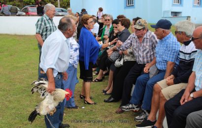 FESTA DOS LOURAIS – MISSA E ARREMATAÇÕES – Ilha de São Jorge (c/ reportagem fotográfica)