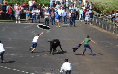 TOURADA À CORDA (I) NAS FESTAS DE ROSAIS – Ilha de São Jorge. (c/ reportagem fotográfica)