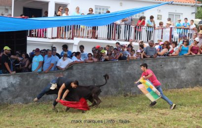GARRAIADA NA FAJÃ GRANDE / CALHETA – Ilha de São Jorge (c/ reportagem fotográfica)