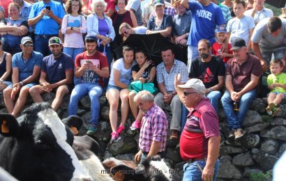 AS TRADICIONAIS ARREMATAÇÕES NA FESTA DA FAJÃ DA CALDEIRA DE SANTO CRISTO – Ilha de São Jorge (c/ vídeo)
