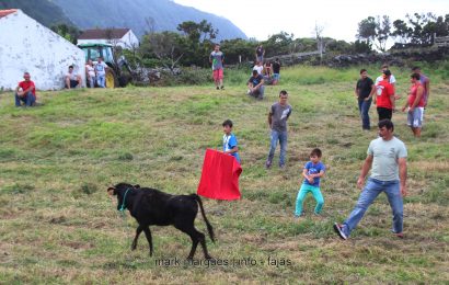 VACADA DA PEQUENADA – Fajã do Ouvidor (Norte Grande) Ilha de São Jorge (c/ vídeo)