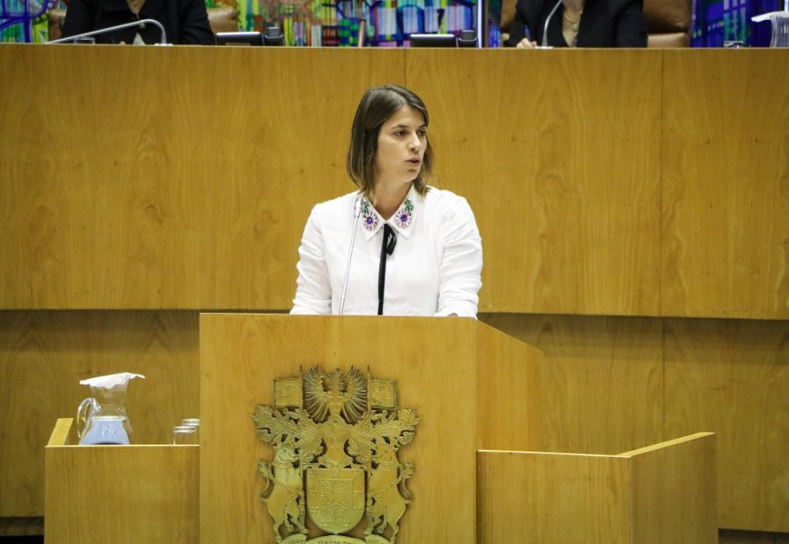 Plano e Orçamento: Catarina Cabeceiras pede mais verdade e menos propaganda ao PS