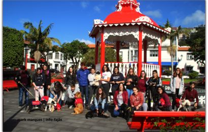 CAMPANHA DE ADOÇÃO ANIMAL – Jardim da República – Vila das Velas – Ilha de São Jorge