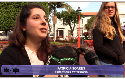 CAMPANHA DE ADOÇÃO ANIMAL – Jardim da República – Vila das Velas – Ilha de São Jorge (c/ vídeo)