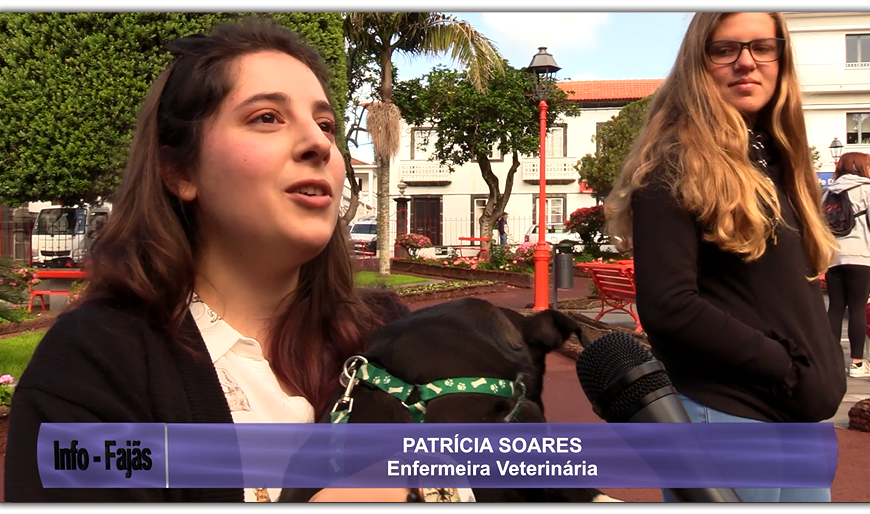 CAMPANHA DE ADOÇÃO ANIMAL – Jardim da República – Vila das Velas – Ilha de São Jorge (c/ vídeo)