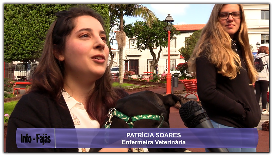 Sem Título_InPixio
