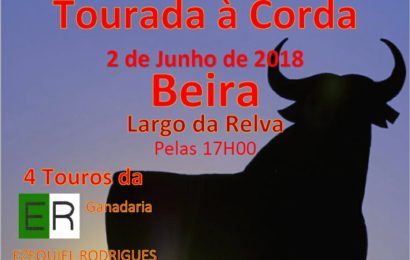TOURADA À CORDA NO LUGAR DA RELVA/BEIRA – VELAS – Ilha de São Jorge (Próximo Sábado dia 2 de Junho)
