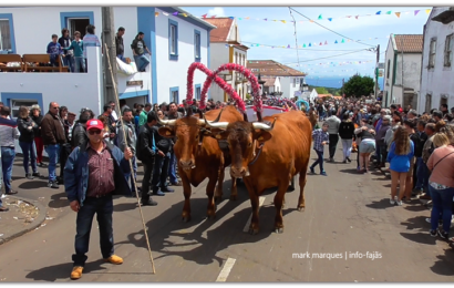 CORTEJO DO BODO DE LEITE EM SANTO ANTÃO (desfile dos carros de bois) – Ilha de São Jorge (c/ vídeo)