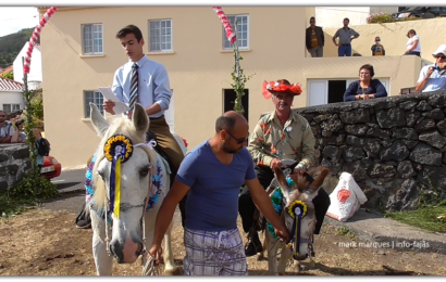 “BOTAR O BANDO” – MANADAS – Ilha de São Jorge (c/ vídeo)