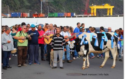 Presidente do Governo concede tolerância de ponto nas ilhas do Triângulo na terça-feira do Espírito Santo (22 de Maio)