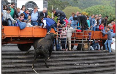 TOURADA À CORDA – Urzelina – Ilha de São Jorge (c/ reportagem fotográfica)